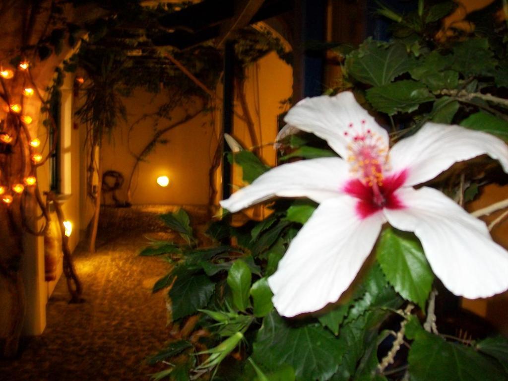 Villa Spyros Santorini Периса Екстериор снимка